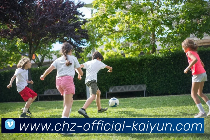 开云APP 高清赛事图